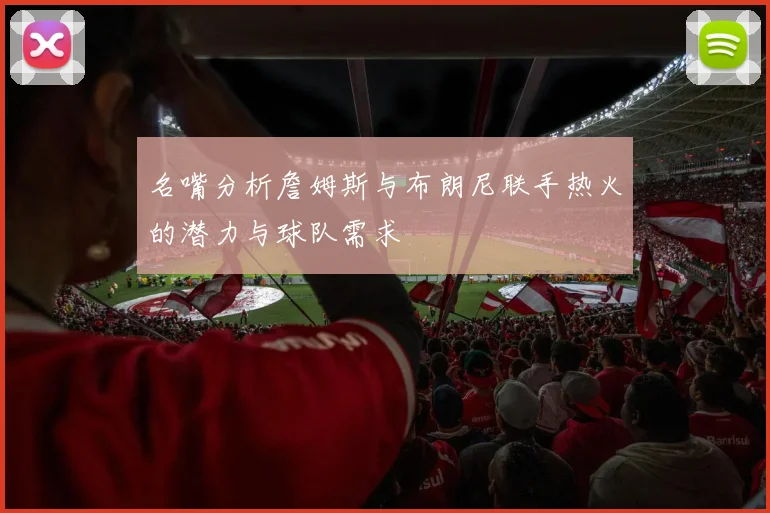 名嘴分析詹姆斯与布朗尼联手热火的潜力与球队需求