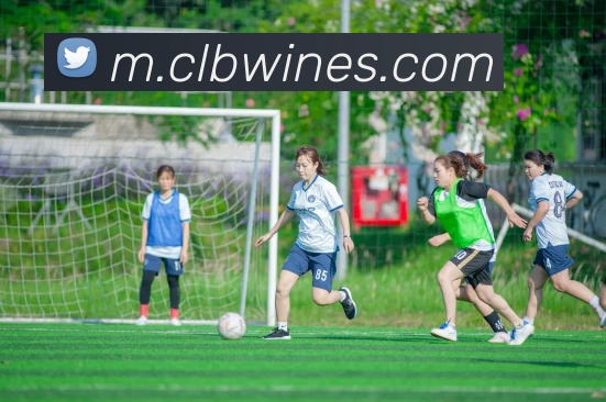 aoa网页版入口APP 高清赛事图